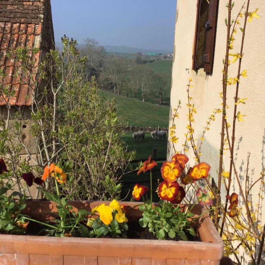 Gite Le Mur Magnifique Longere Au Bourgogne-Du-Sud Villa Oye Exterior foto